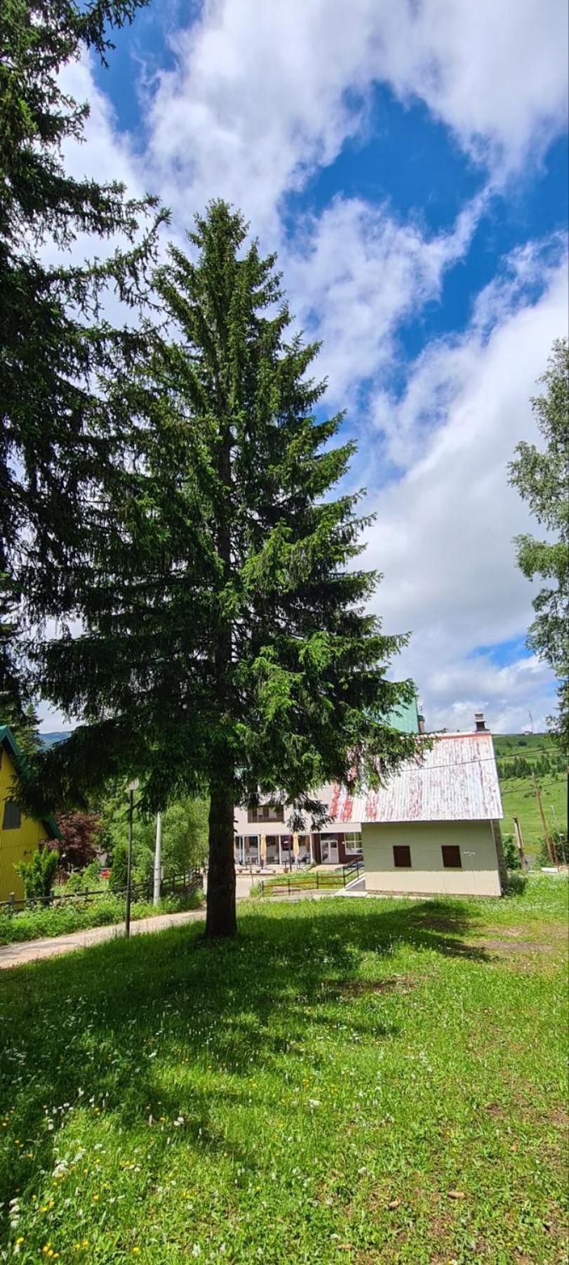 Holiday Home Stevas Žabljak Exteriér fotografie